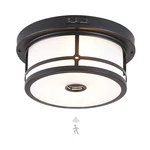 Vexagyle Outdoor Flush Mount Motion Sensor Ceiling LIGHT2-LIGHT Industrial. Fixed Price $67.69.
