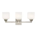 Livex Aragon Light Bath Vanity, Nickel 10283-91. Fixed Price $249.96.