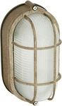 Phillips Forecast F9079565N Lighting Oceanview Outdoor Wall Lantern Silver Rust. Fixed Price $29.00.