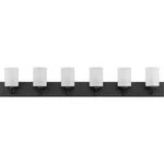 Progress Lighting Vanity 48" Dimmable 6-LIGHTS Metal Glass P300421-031. Fixed Price $79.50.
