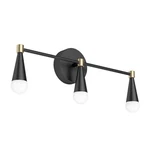 New Artika Wayden 21 In. 3 Light Matte Black & Gold Modern Vanity Bar. Fixed Price $37.00.