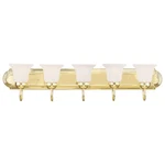 Livex Lighting Riviera Bath Polished Brass 1075-02. Fixed Price $349.96.