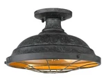 Golden Bartlett 2-LIGHT Ceiling Black Patina. Fixed Price $36.98.