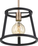 Nuvo Lighting 60/6641 Chassis 10"W Pendant - Copper Brushed Brass Matte Black. Fixed Price $129.99.