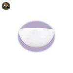 Ebern Designs Craigsville Glass Wall Sconce Shade. Fixed Price $56.99.
