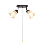 Shengqingtop 2-LIGHT Flush Mount Ceiling With Pull Chain Clear And Fros.... Fixed Price $70.96.