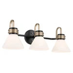 Black Three Light Bath From The Farum Collection. Fixed Price $344.99.