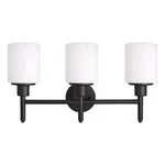 Aubrey Stainless Steel Vanity Matte Black 3-LIGHT. Fixed Price $123.89.