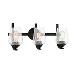 Minka Lavery Shyloh Vanity Light 3 22" Coal Black Bath Fixture. Fixed Price $74.98.