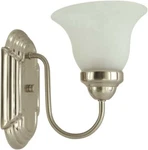 Monument 1-LIGHT Vanity Fixture, Brushed Nickel, #2489745, Nib, Sale,. Fixed Price $7.99.