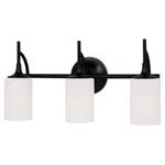 Sea Gull Stirling 3 Light 22 Inch Bath Vanity, Burnt Sienna, 44954-710. Fixed Price $79.98.