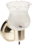 Nuvo SF77/120B Polished Brass Frosted Grape Shade With Glass On/off. Fixed Price $26.99.