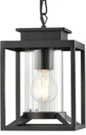 Osimir Outdoor Pendant 1-LIGHT Modern Hanging Lantern 2375-1H. Fixed Price $31.11.
