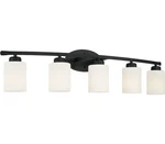 Capital 115251MB-338 Dixon Vanity, 5-LIGHT 500 Total Watts, Matte Black. Fixed Price $162.38.