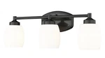 Z-lite 745-3V-MB Light Vanity. Fixed Price $129.00.