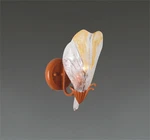 Lighting Fixture Wall Sconce, W:7.5" H:11" Murano Style Glass(gold).. Fixed Price $41.25.