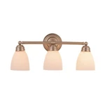 Trans Globe Traditional Frosted Light Bath Bar - Nickel In 3357 Bn. Fixed Price $109.99.
