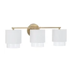 Capital Lighting 153031-549 Weller 24"W Vanity Matte Brass /. Fixed Price $248.00.