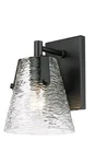 Z-lite 1101-1S Analia 10" Tall Wall Sconce Black. Fixed Price $60.00.
