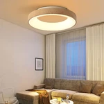Modern Flush Mount Led Ceiling Light Acrylic Lampshade Indoor Chandelier Fixture. Fixed Price $69.44.