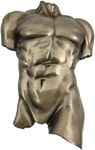 Male Torso Wall Plaque Hanging Figure Bronze Home Decorative Collectible. Fixed Price $45.41.
