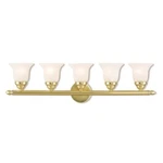 Livex Neptune Light Bath Vanity, Polished Brass/alabaster 1065-02. Fixed Price $321.96.