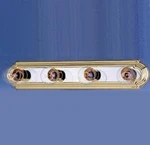 Maxim 7124 Essentials 24"W Vanity Strip. Fixed Price $35.00.