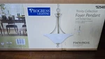 Trinity Collect Brushed Nickel Pendant By Progress Lighting Etched Glass New. Fixed Price $54.99.