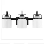 Progress Lighting Fessler 3 Matte Black Opal Glass Farmhouse Fixture. Fixed Price $39.95.