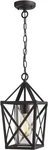 Zeyu Outdoor Pendant Lights For Porch, Exterior Hanging. Fixed Price $84.99.