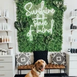 Sunshine State Of Mind Vivid Flex Led 32"X25" Neon Sign Light Lamp Wall Decor. Fixed Price $278.99.