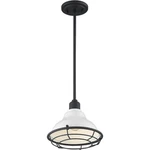 Nuvo Lighting 60/7023 Newbridge Pendant Gloss White And Black Accents. Fixed Price $134.99.
