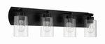 Flat Black Four Light Vanity From The Hendrix Collection. Fixed Price $189.00.
