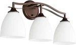 Transitional 3-LIGHT Bronze Vanity From Jardin Collection. Fixed Price $209.99.