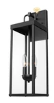 Dusk To Dawn Outdoor Wall Sconce Light, 20 Inch Tall Transitional Exterior W.... Fixed Price $55.00.
