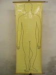School Wall Map Human For Water-soluble Wax Crayons Foil 67X92CM. Fixed Price $131.08.