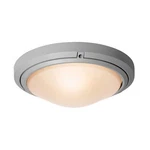 Access Lighting Use Wet Locations 1-LIGHT Led Ceiling/wall, Satin/fr 20355. Fixed Price $125.00.