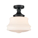 Black Semi Flush Mount Ceiling Light Milk Glass Schoolhouse 11-.... Fixed Price $143.80.