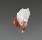 Lighting Fixture Wall Sconce, W:7.5" H:11" Murano Style Glass(white).. Fixed Price $41.25.