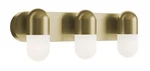 Afx IRVV2406LAJUD Irvine 3 Light 24"W Led Vanity - Brass. Fixed Price $198.00.
