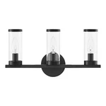 Hampton Bay Loveland 16.625" 3-LIGHT Black Vanity Clear Glass Shades. Fixed Price $39.99.