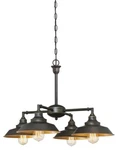 Westinghouse 6345000 Four-light Indoor Iron Hill Chandelier Oil Rubbed Bronze. Fixed Price $116.99.