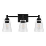 Hampton Bay Wakefield 22 In. 3-LIGHT Matte Black Modern Vanity. Fixed Price $21.75.