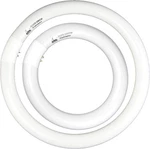 FC8T9/CW 22W And FC12T9/CW 32W Cool White Round Fluorescent Light Bulb Set .... Fixed Price $37.50.