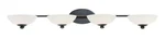 Dolan Designs 3904-78 Rainier Light 43.75 Inch Bolivian Bath Vanity Wall. Fixed Price $218.29.