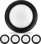 6IN Led Low Profile Surface Mount Disk 16.5W, 5000K Daylight, 1000LM, Dim. Fixed Price $41.89.