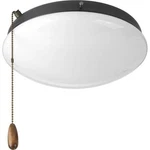 Progress Lightingfan Kits Collection 2-LIGHT Graphite Ceiling. Fixed Price $37.95.